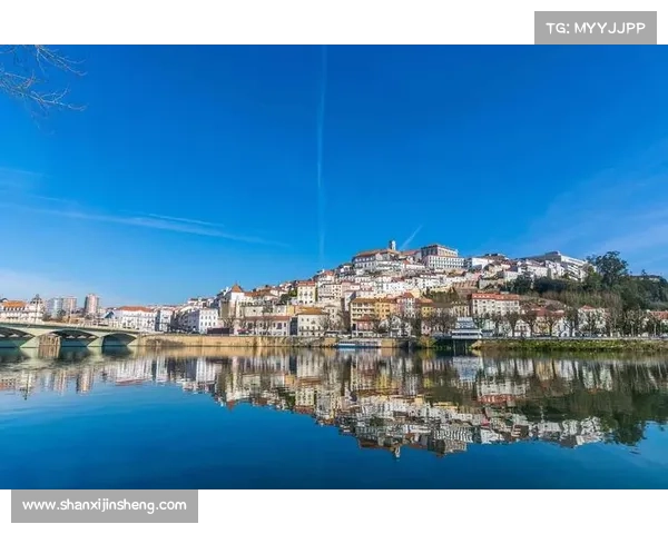 探秘葡萄牙足球俱乐部的独特魅力与辉煌历史