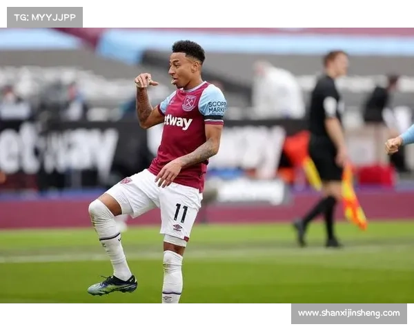 林加德调侃现象的成因与社会文化影响分析