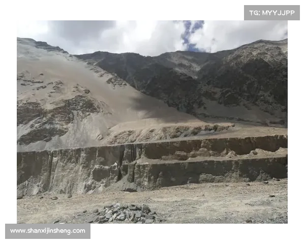 奥林匹亚科斯如何克服重重挑战最终夺冠的历史之路分析